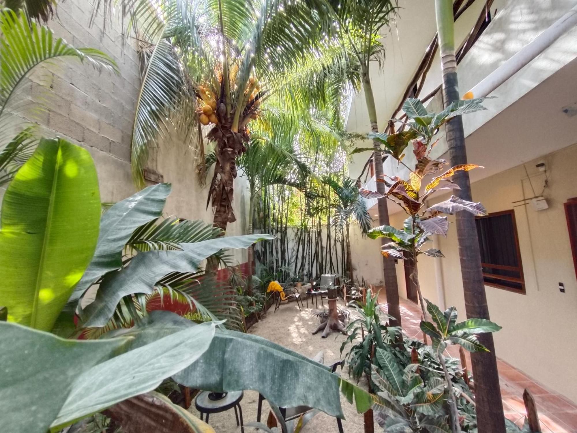 Hotel Casa Lupita Tulum Exteriér fotografie